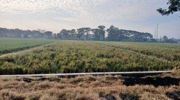 Gambar 5 Dijual Tanah di Bulakrejo, Sukoharjo , Sukoharjo