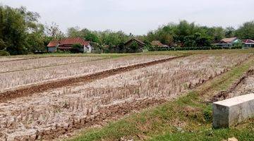 Gambar 3 Dijual Tanah di Selogiri, Wonogiri