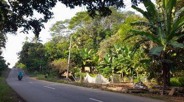 Gambar 1 Tanah Ketapang view laut