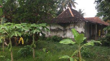 Gambar 4 Disewakan Rumah Kuno Dan Lahan 3468 Sqm Desa Brayut Sleman 