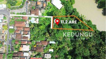 Gambar 1 Tanah di Dekat Pantai Kedungu, Tabanan HS 11,2 m²