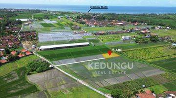 Gambar 3 Tanah di Pantai Kedungu, Tabanan SHM 500 m²