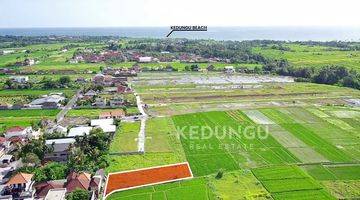 Gambar 2 Tanah di Pantai Kedungu, Tabanan SHM 600 m²