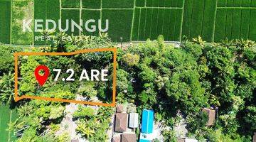 Gambar 1 Tanah di Dekat Pantai Kedungu, Tabanan HS 720 m²