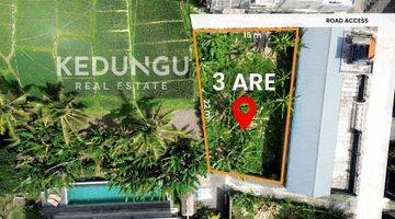 Gambar 1 Tanah di Pantai Kedungu, Tabanan HS 300 m²