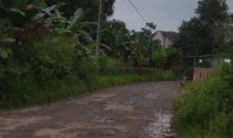 Gambar 3 Dijual Cepat Tanah di KP. Sadangan, Lumpang, Parung Panjang
