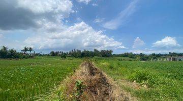 Gambar 5 TOP URGENT DI JUAL TANAH VIEW SAWAH  LOKASI NYANYI BERABAN KEDIRI TABANAN 