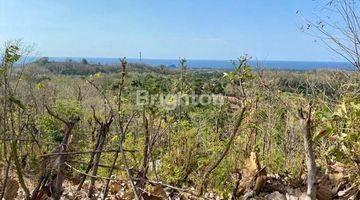 Gambar 1 TANAH KOSONG 2Ha GEROKGAK BULELENG