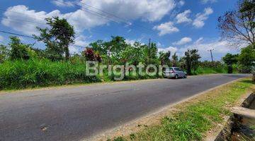 Gambar 2 TANAH KEBUN SIAP BANGUN BADUNG UTARA