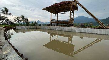 Gambar 3 Kavling Sawah Bogor SHM Sistem bagi hasil