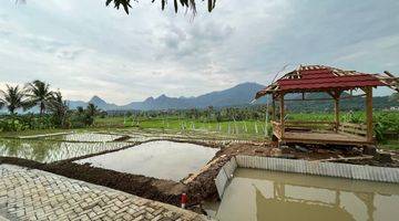 Gambar 4 Kavling Sawah Bogor SHM Sistem bagi hasil