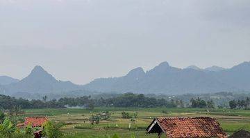 Gambar 4 Kavling Villa & Sawah SHM Bogor Siap Panen Sistem bagi Hasil