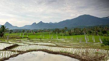 Gambar 1 Kavling Sawah Bogor SHM Sistem bagi hasil