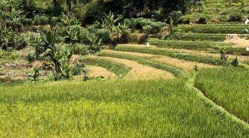 Gambar 5 Tanah Puncak Cipanas Pemandangan Cantik Bisa Bangun Villa & Cafe