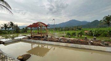 Gambar 2 Kavling Sawah Bogor SHM Sistem bagi hasil