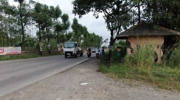 Gambar 3 Murah Tanah di Cilegon Serang Banten 7Ha dekat Pintu Tol Cilegon