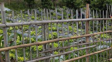 Gambar 1 Tanah Kavling Cocok Untuk Villa Dekat Tempat Wisata, Lembang