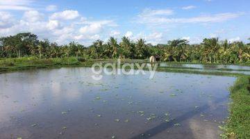 Gambar 2 TANAH BANJAR NAGI PETULU TEGALLALANG GIANYAR, BALI