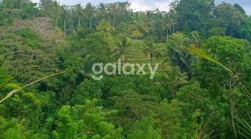 Gambar 1 TANAH BANJAR CEBOK KEDISAN TEGALLALANG GIANYAR, BALI