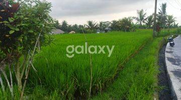 Gambar 1 TANAH BANJAR NAGI PETULU TEGALLALANG GIANYAR, BALI