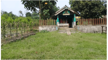 Gambar 1 Gudang Plywood Siap Pakai di Sukabumi Jawa Barat