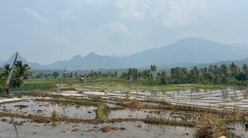 Gambar 4 Jual Tanah Dan Sawah Dengan Harga Terjangkau 312 Juta 800M² 