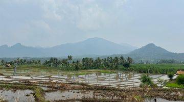 Gambar 2 Kangen Suasana Pedesaan Miliki Kavling Sawah Di Nuansa Alam 