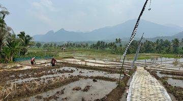 Gambar 2 Jual Tanah Dan Sawah Dengan Harga Terjangkau 312 Juta 800M² 