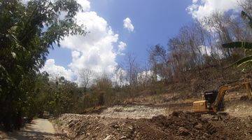 Gambar 4 Tanah Murah Jogja Pleret, 8 Menit Dari Hutan Pinus Pengger