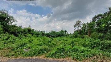 Gambar 1 Tanah Murah Jogja Kertanegara, View Sawah Dan Gunung Merapi