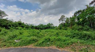 Gambar 2 Tanah Murah Jogja Kertanegara, View Sawah Dan Gunung Merapi