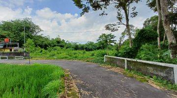 Gambar 4 Tanah Murah Jogja Kertanegara, View Sawah Dan Gunung Merapi