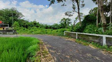 Gambar 5 Tanah Murah Jogja Kertanegara, View Sawah Dan Gunung Merapi