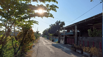 Gambar 3  Kavling Murah Kec.jiwan, Kab. Madiun Luas 245 M2 Legalitas SHM