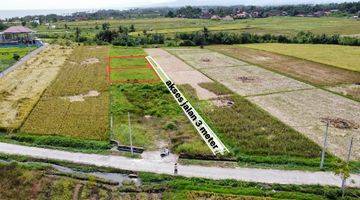 Gambar 5 Tanah Luasan Kecil di Pantai Kedunggu Tabanan