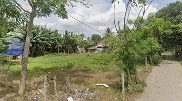 Gambar 3 Dijual Kavling Tanah 1,1 Ha Sebelah Laksana