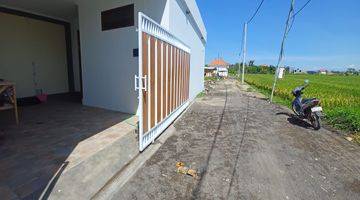 Gambar 1 Yearly Rent, 2 Bedrooms Brand New Villas, Furnished, Rice Fields View, Munggu, 