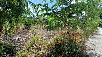 Gambar 1 Land For Lease In Central Seminyak