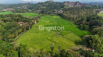 Gambar 4 Tanah Cianjur, Jawa Barat