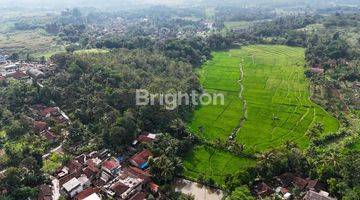 Gambar 5 Tanah Cianjur, Jawa Barat