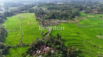 Gambar 1 Tanah Cianjur, Jawa Barat