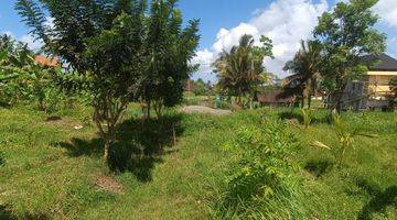 Gambar 3 Tanah View Sawah Cantik Lingkungan Villa Harga Murah 