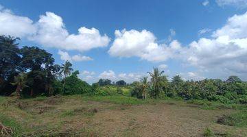 Gambar 1 TANAH VIEW JUNGLE LEMBAH COCOK VILLA RENTAL DI UBUD 