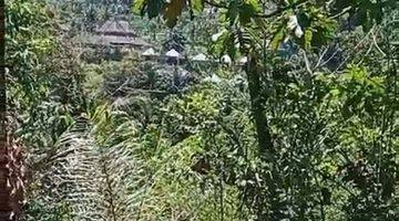 Gambar 5 TANAH LOS SUNGAI JUNGLE LEMBAH KEREN SIAP BANGUN VILLA RENTAL