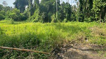 Gambar 3 Tanah Zona Kuning Super Murah Di Pejeng View Sungai 