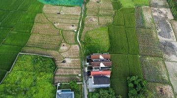 Gambar 4 Tanah Los Sungai Sawah Hutan Jalan Besar Dekat Central Ubud