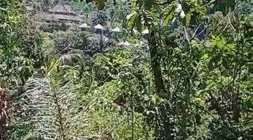 Gambar 4 TANAH LOS SUNGAI JUNGLE LEMBAH KEREN SIAP BANGUN VILLA RENTAL