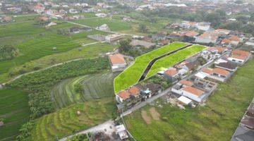 Gambar 2 Tanah Zona Kuning Dekat Pantai Berawa View Sawah