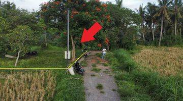 Gambar 2 Tanah Los Sungai Sawah Hutan Jalan Besar Dekat Central Ubud