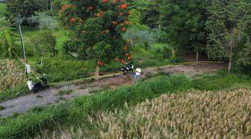 Gambar 5 Tanah Los Sungai Sawah Hutan Jalan Besar Dekat Central Ubud